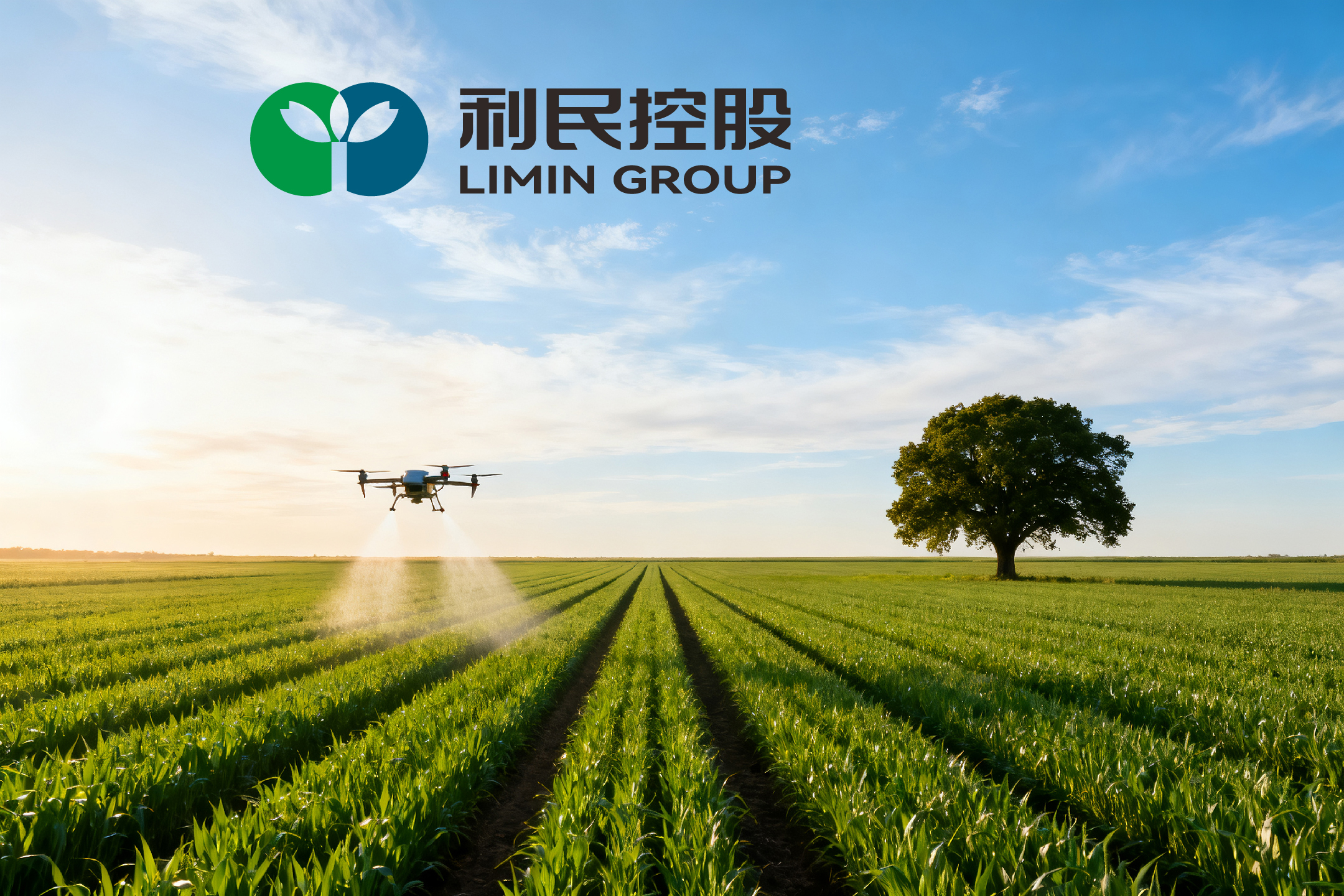 利民控股_畫板 1.jpg